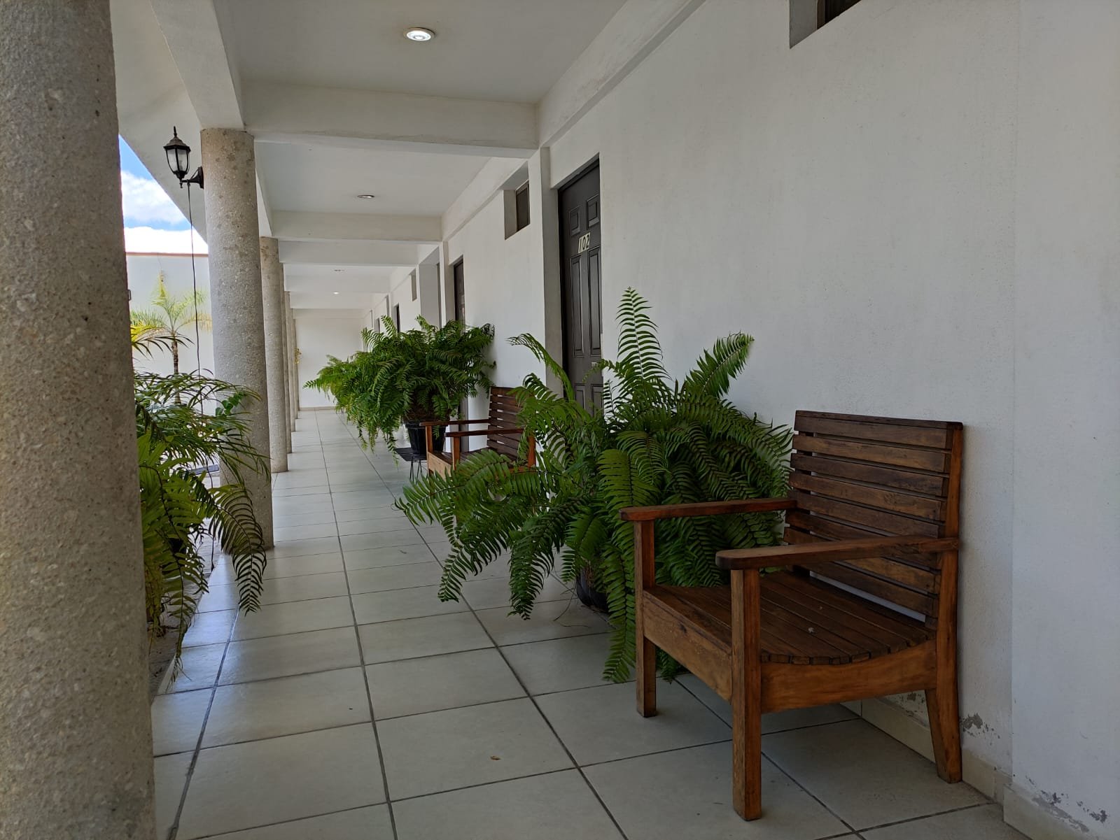 Galería Hotel Real Primaveras